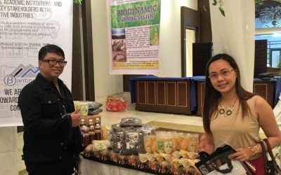FDAI intensifies implementation of FARMASI