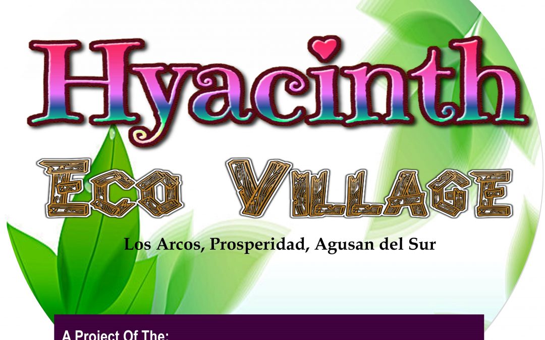 FDAI Launches Hyacinth Eco Village Project
